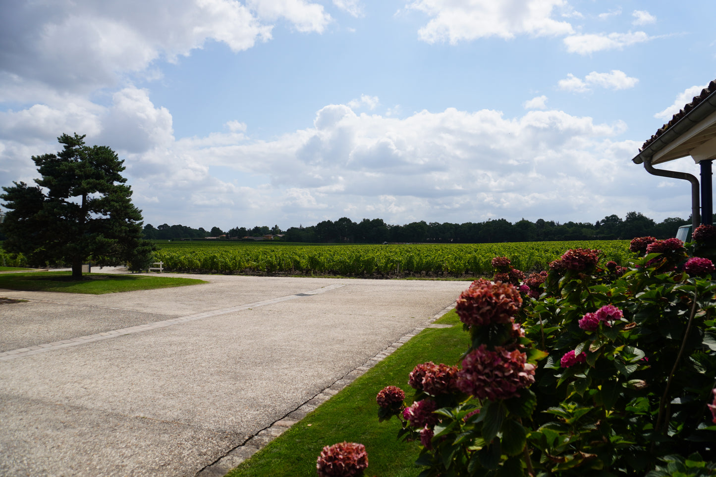 Domaine de Chevalier, Sauvignon Blanc, Pessac-Leognan, Bordeaux, France 2020