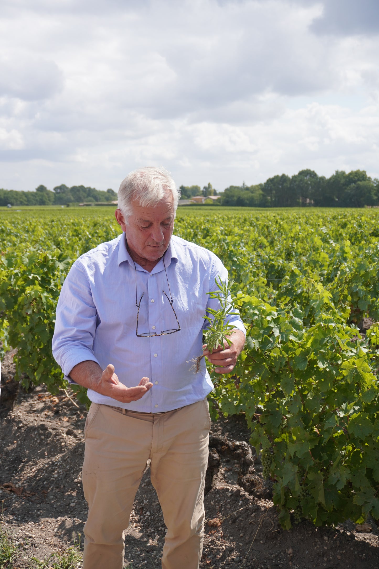 Domaine de Chevalier, Sauvignon Blanc, Pessac-Leognan, Bordeaux, France 2020