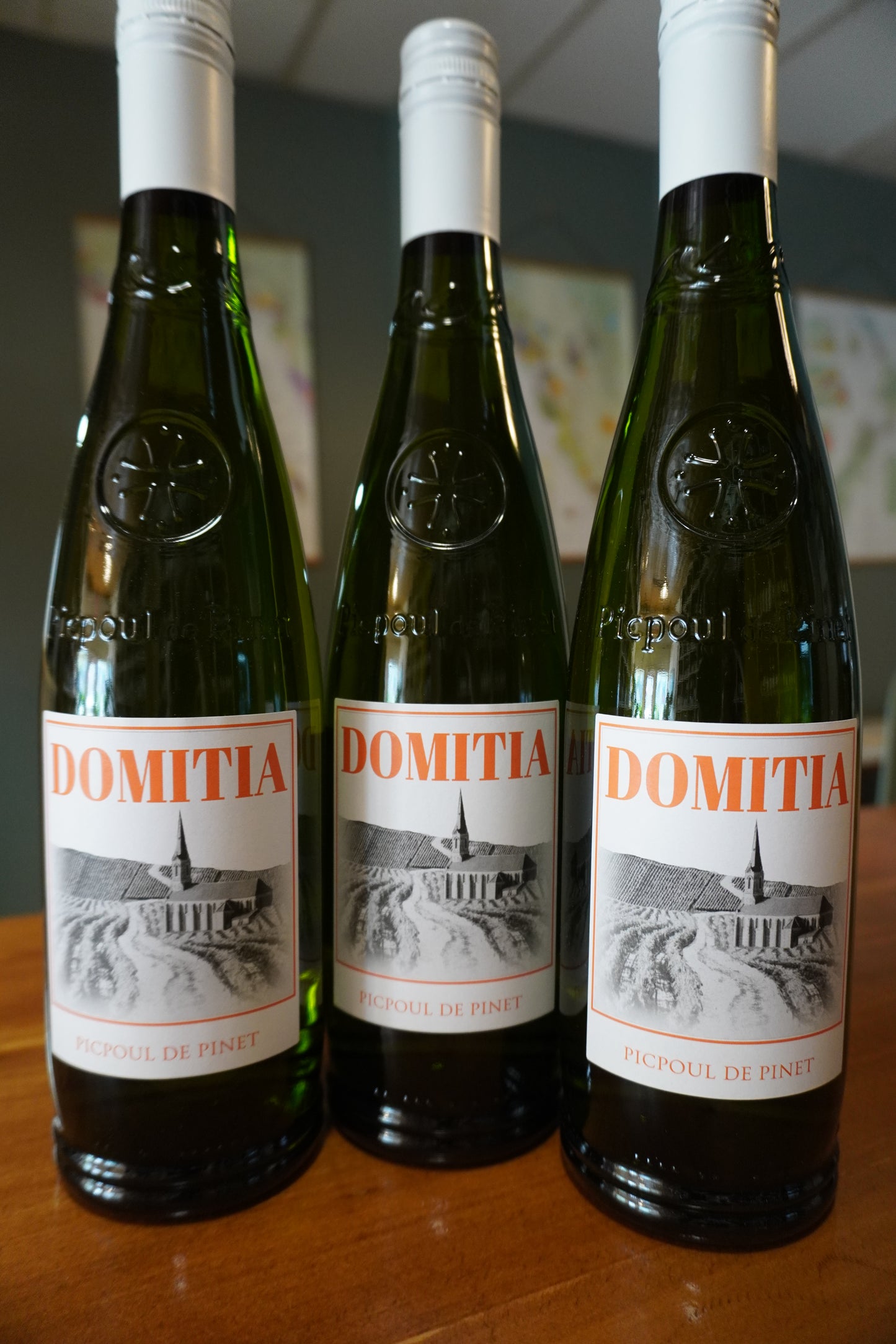 Domitia, Picpoul de Pinet- Bundle
