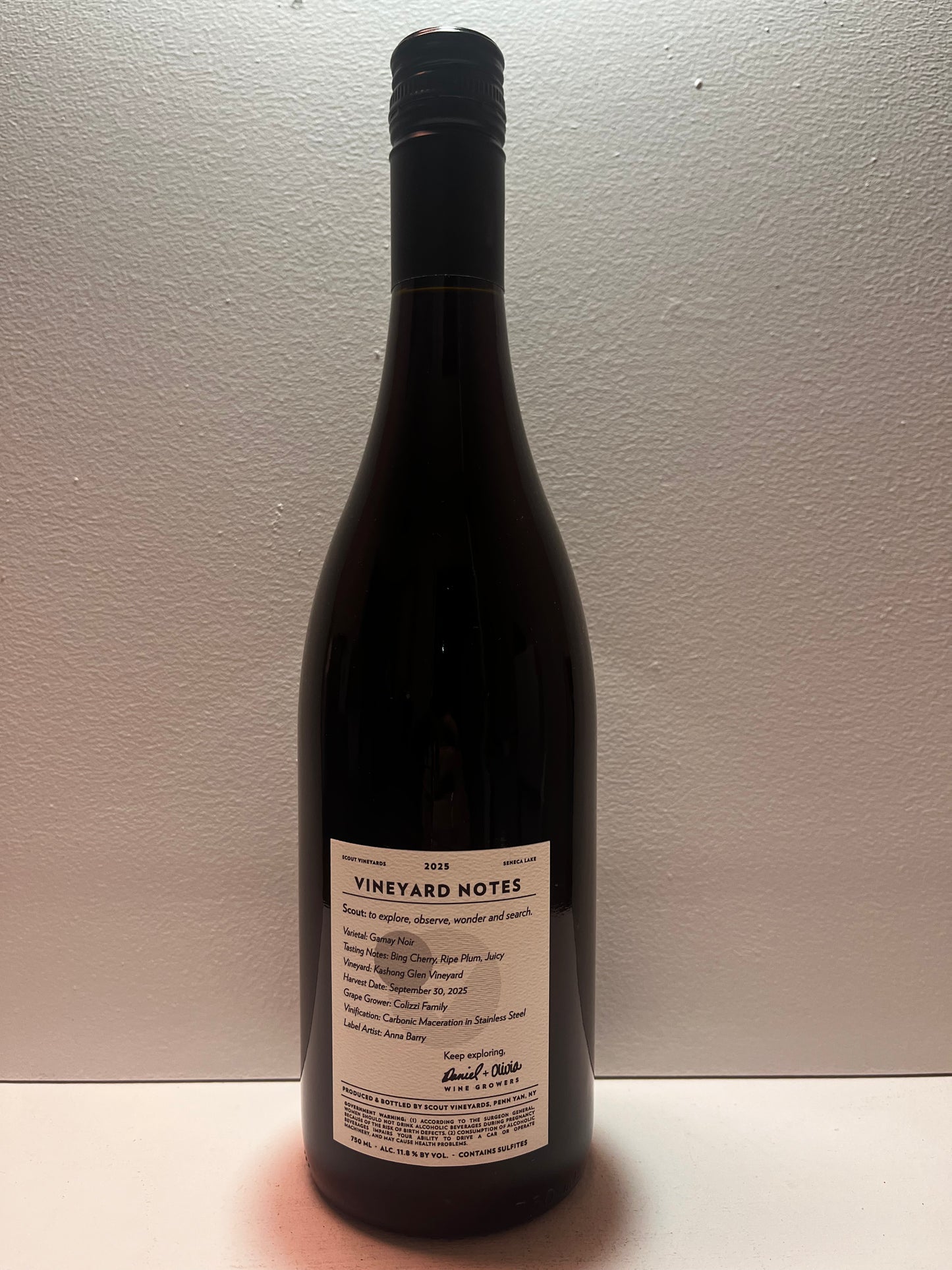 Scout Vineyards, Gamay, Nouveau, Finger Lakes 2025