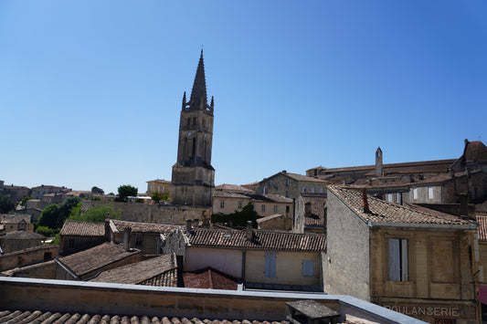 The Wines of Bordeaux