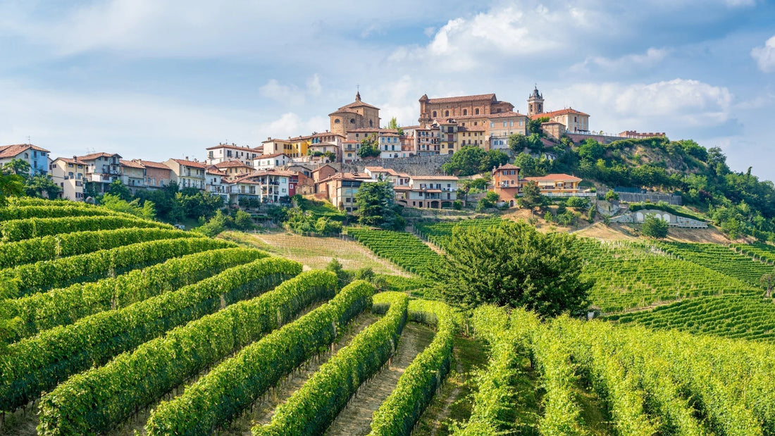 Italy- Piedmont, The Wines of Piedmont