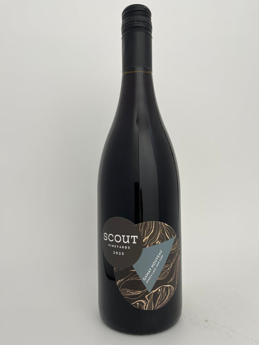 Scout Vineyards, Gamay, Nouveau, Finger Lakes 2025