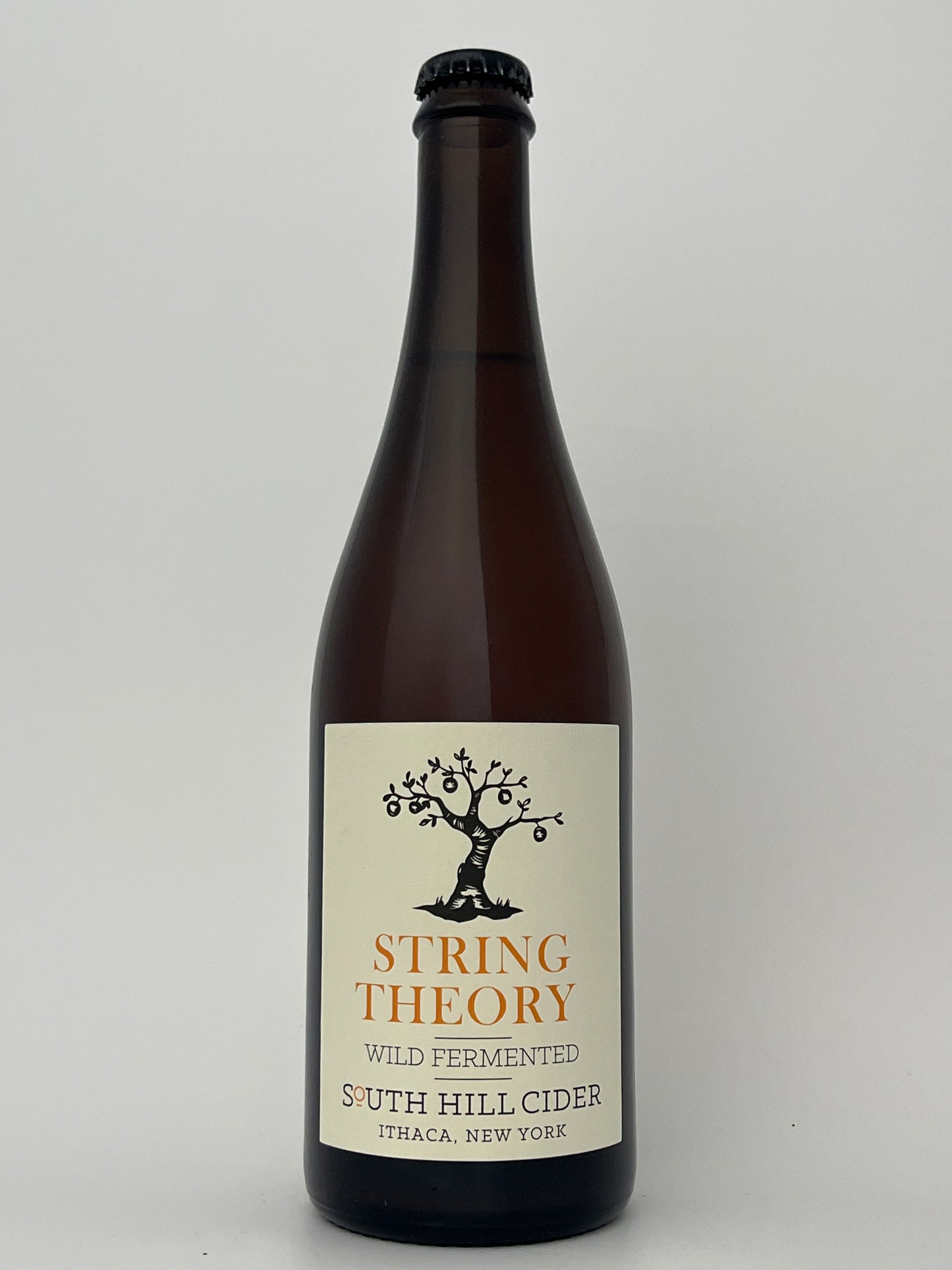 Bottle of South Hill Cider String Theory in a white backround.	