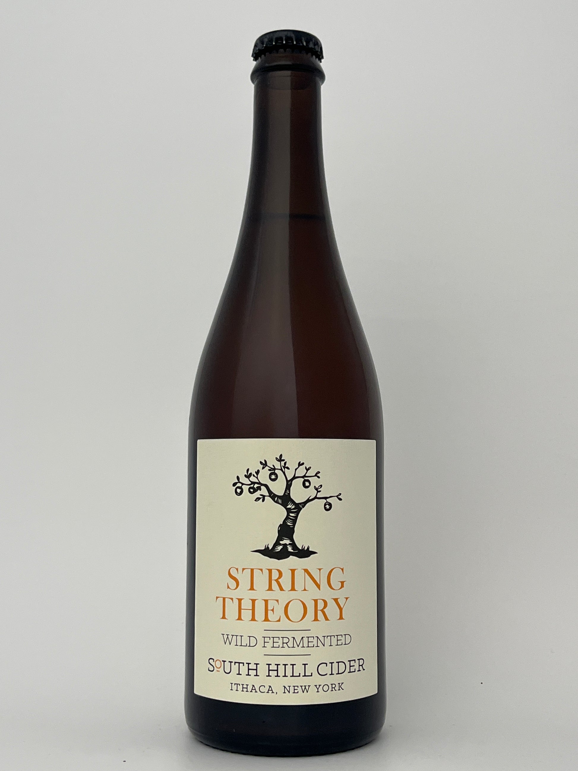 Bottle of South Hill Cider String Theory in a white backround.	