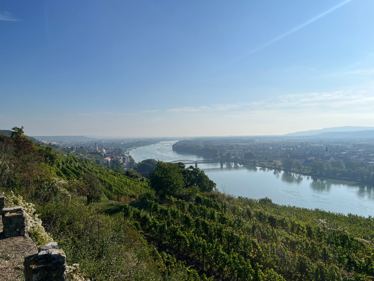 5/29/2026 Tasting and Masterclass: Austria