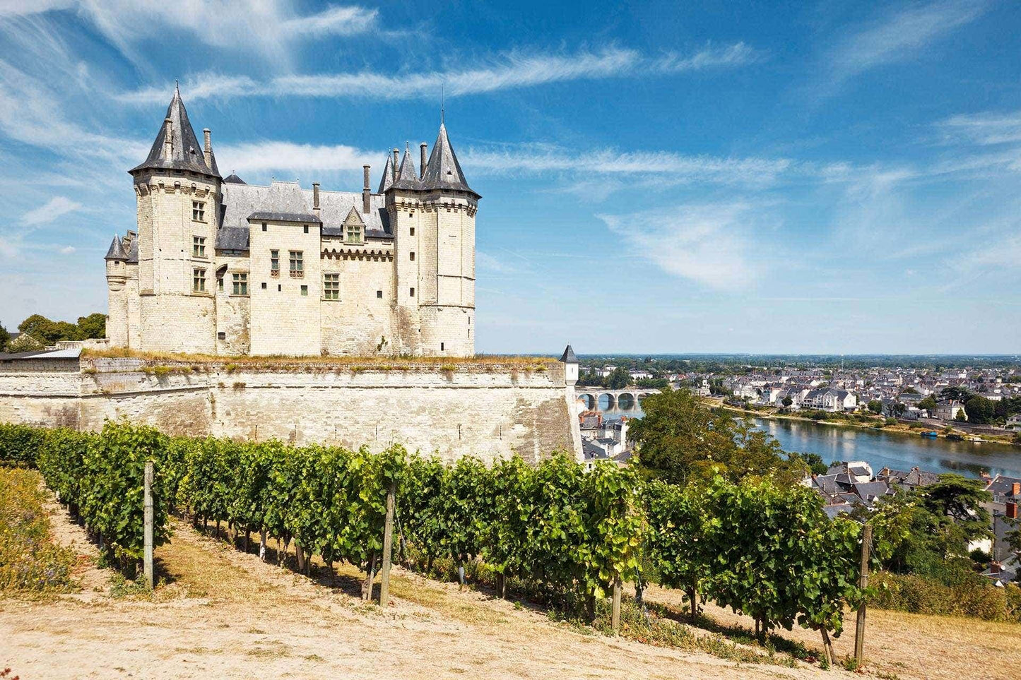 4/24/2026 Tasting and Masterclass: Loire Valley