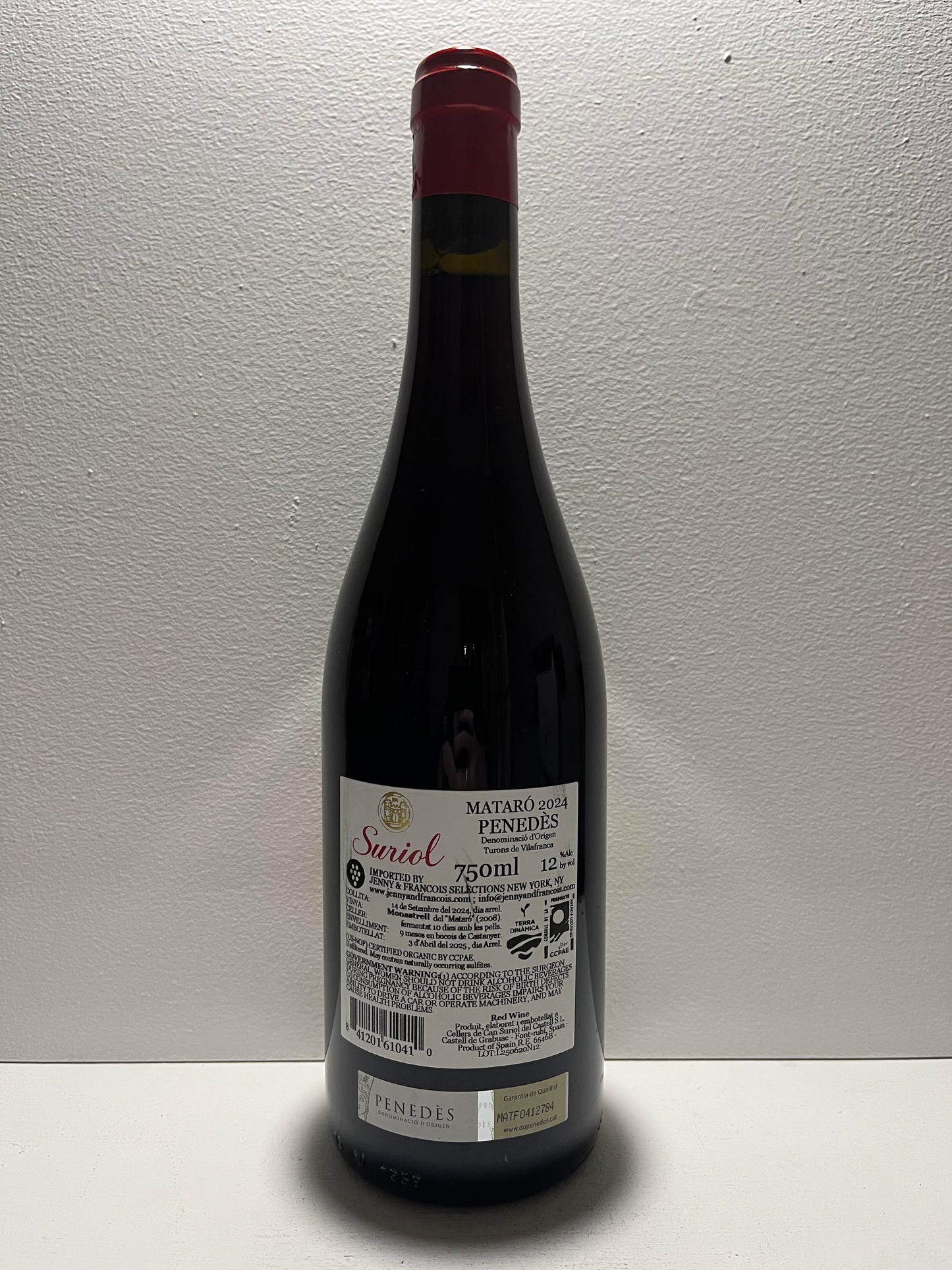 Suriol, Monastrel, Penedes, Catalunya, Spain 2024